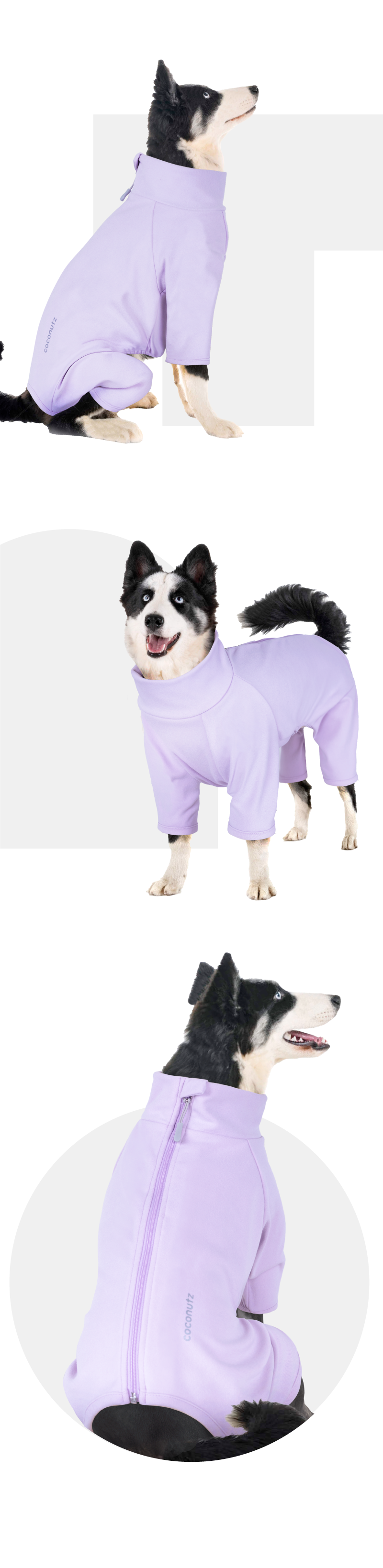 [무료배송] 코코넛즈 독 이지 핏 바디 워머 퍼플 S-5XL 2번째