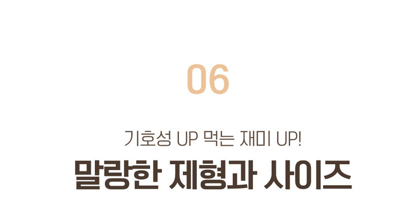 [NEW신상][무료배송] 올바른끼니 알파 보스웰리아 양고기 소프트사료 1.2kg 11번째