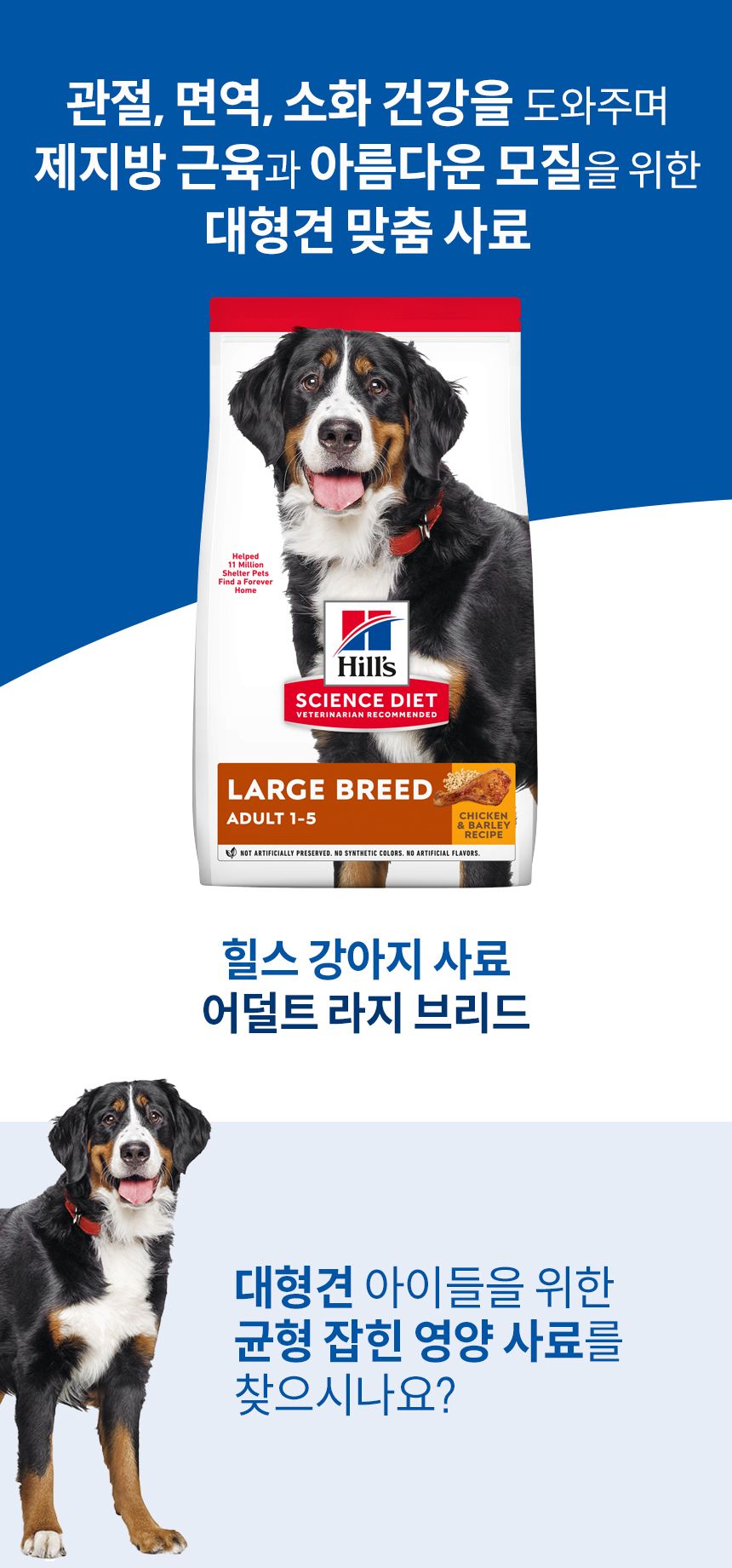 [심쿵펫페어][추가증정] 힐스 독 어덜트 라지브리드 6.8kg + 어덜트 스몰포 스튜 치킨&야채 99g 증정 1번째