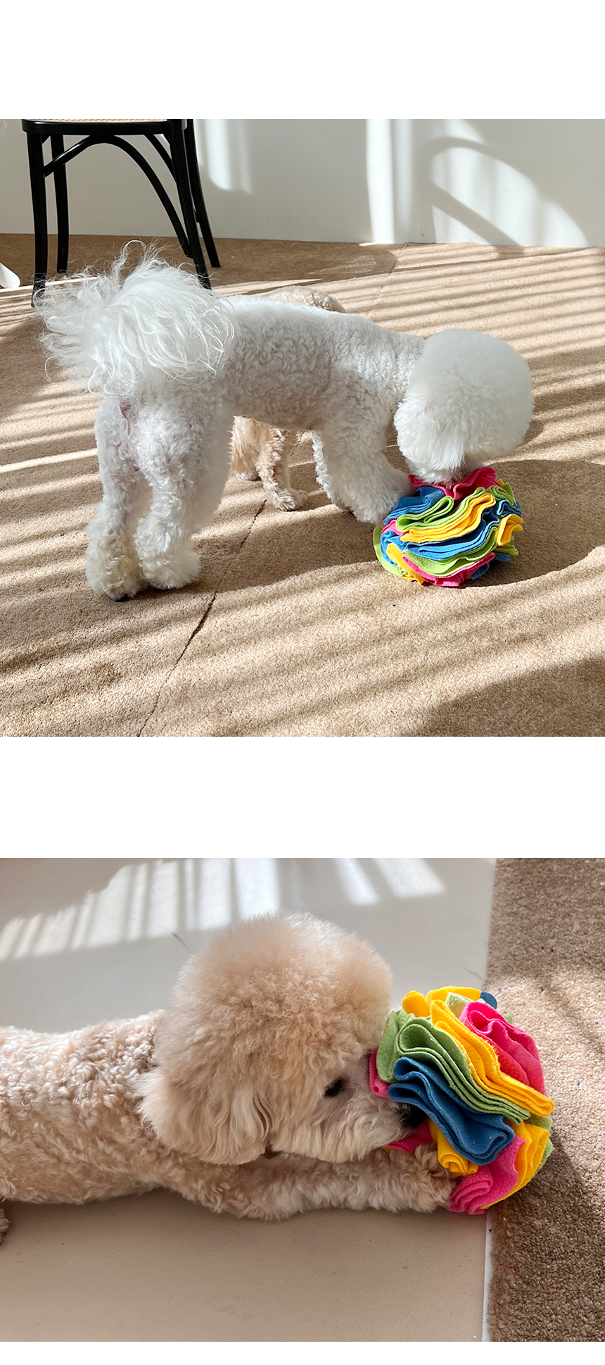 [무료배송] 보드미펫 노즈워크볼 장난감 20번째