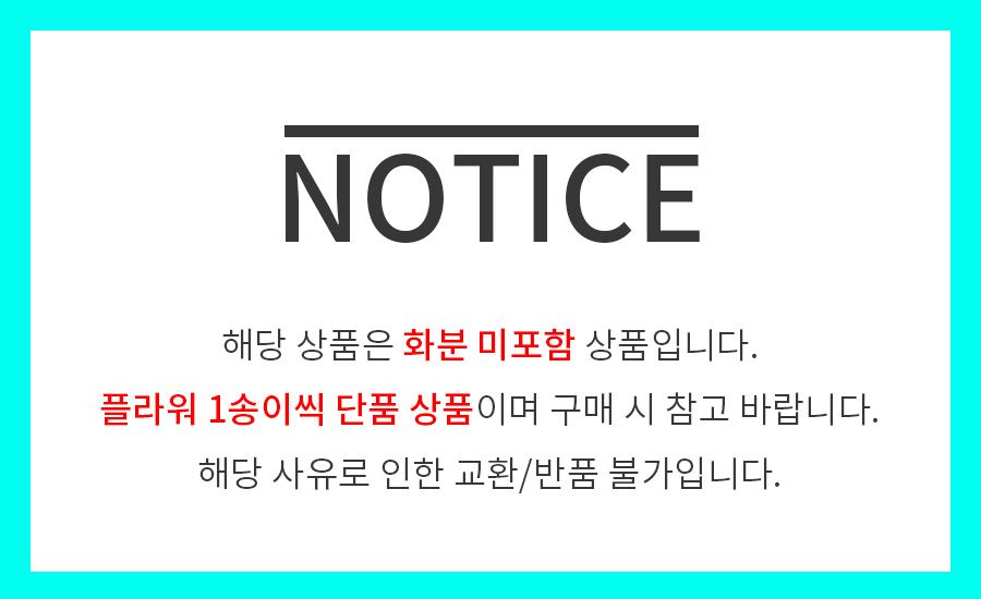 [무료배송] 도그웨그 플라워 삑삑이 노즈워크 퍼플/핑크/옐로우 1번째