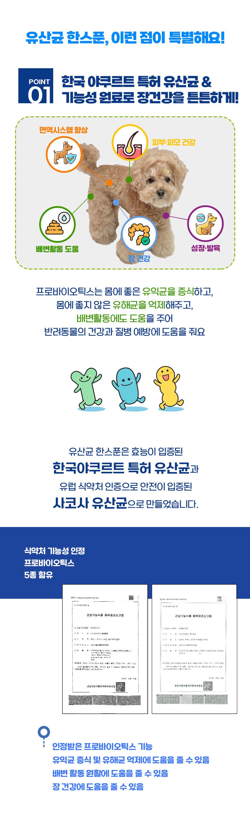  38.5 유산균 한스푼 60g 6번째