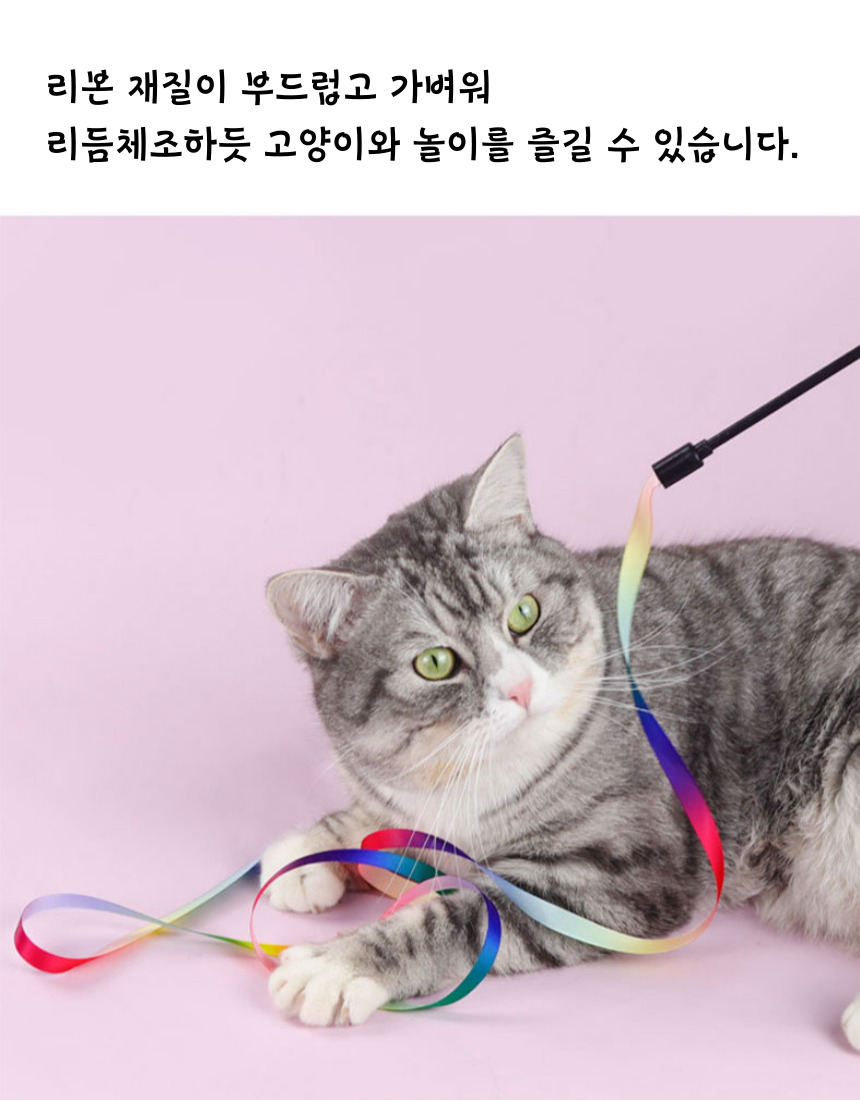 [무료배송] [3개] 묘견인생 캣 레인보우 리본 낚시대 6번째