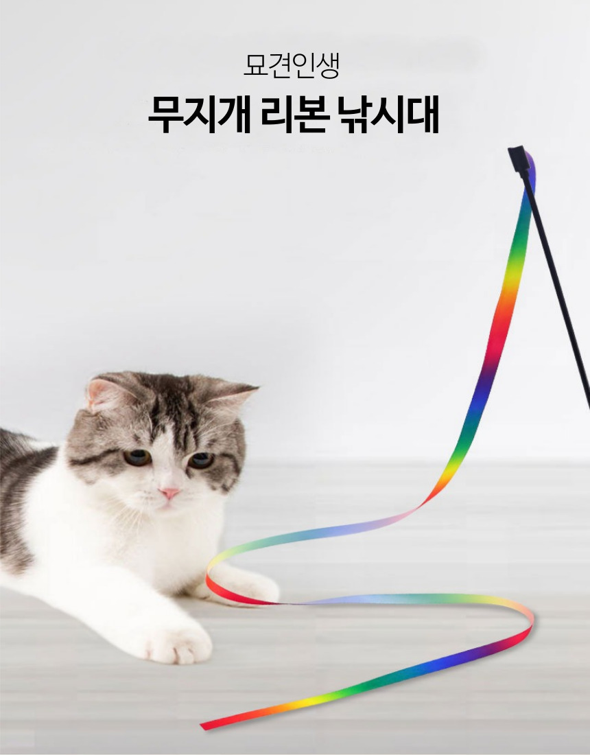 [무료배송] [3개] 묘견인생 캣 레인보우 리본 낚시대 1번째