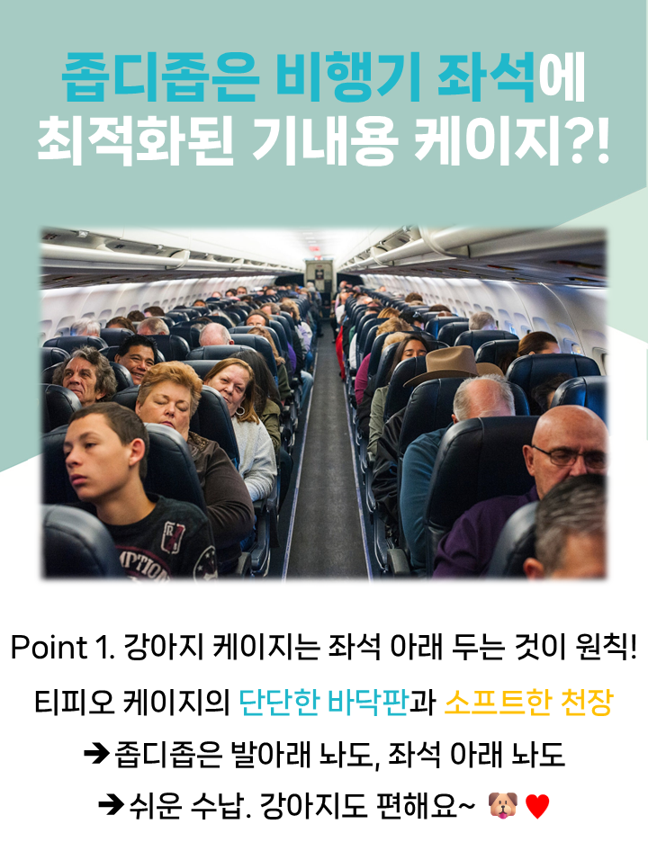 [무료배송] 파니온 티피오 케이지 1번째