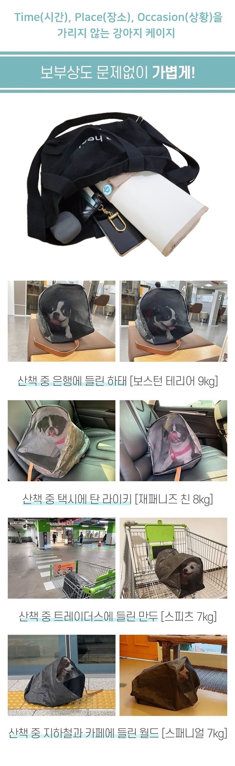 [무료배송] 파니온 티피오 케이지 5번째