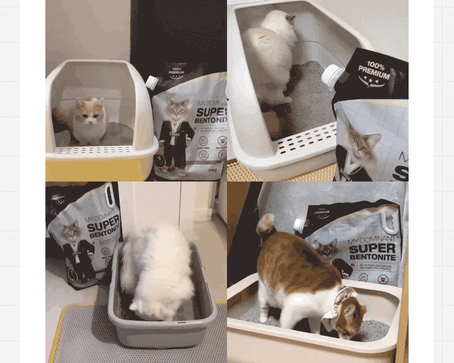 마이도미넌트 벤토나이트 고양이모래 블랙(제시카) 11kg 9번째