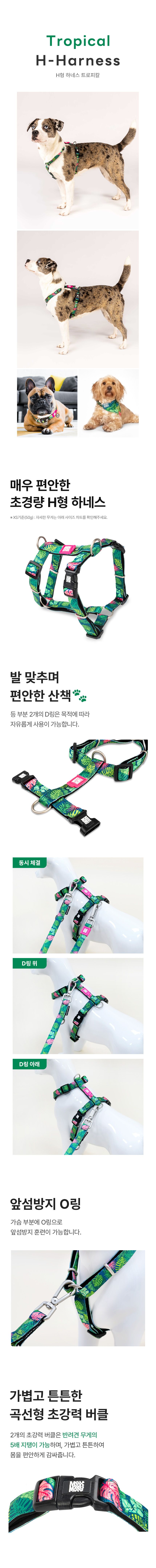 [무료배송] 맥스앤몰리 H 하네스 리틀몬스터/스트로베리/트로피칼/블루오션/워터멜론 XS-L 2번째