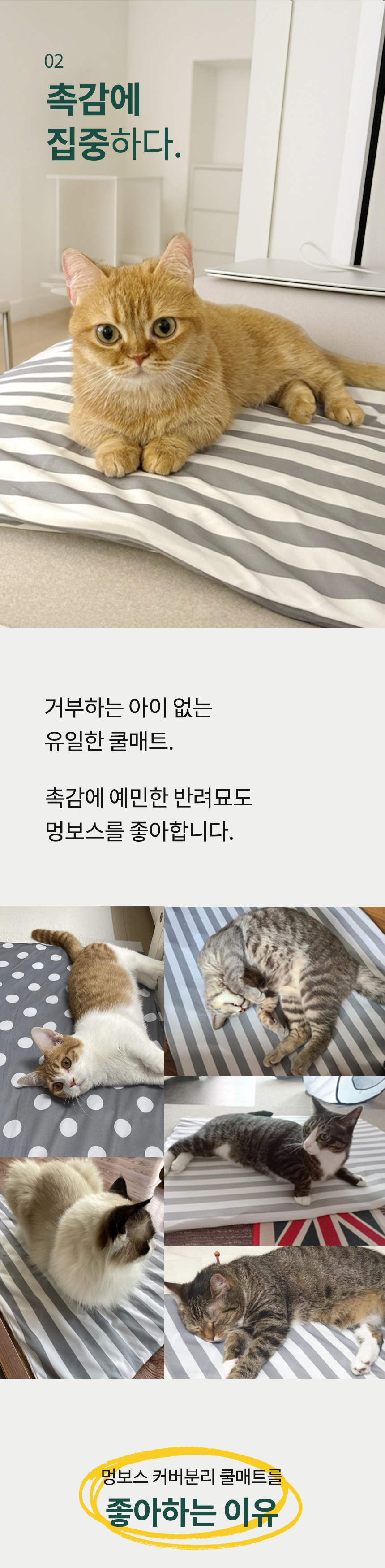 [NEW신상][무료배송] 멍보스 세탁가능 커버분리 무독성 쿨매트 29번째