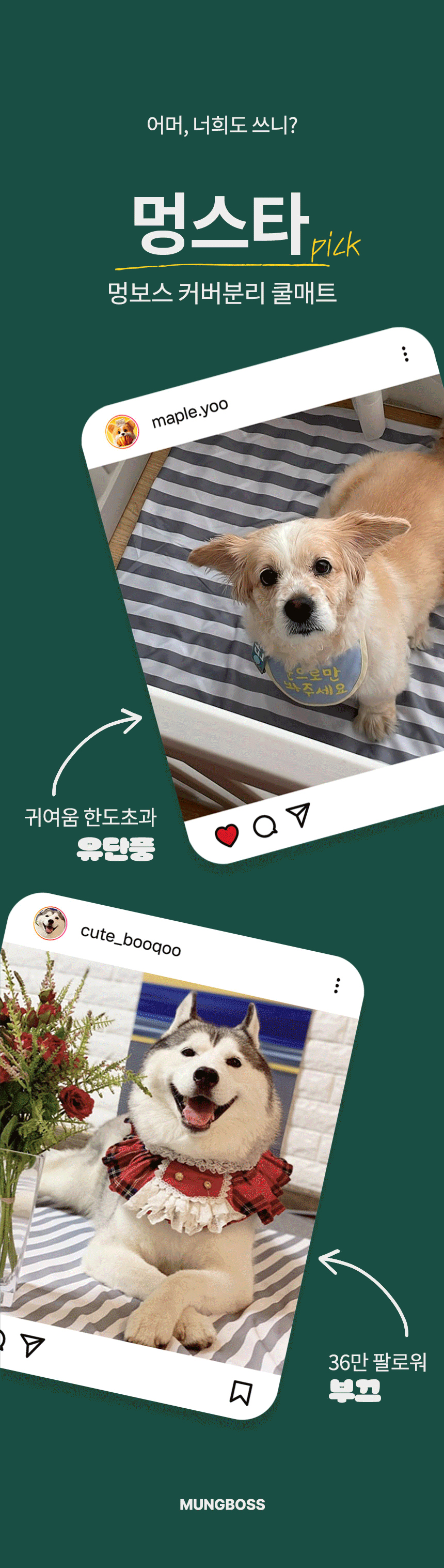 [NEW신상][무료배송] 멍보스 세탁가능 커버분리 무독성 쿨매트 9번째