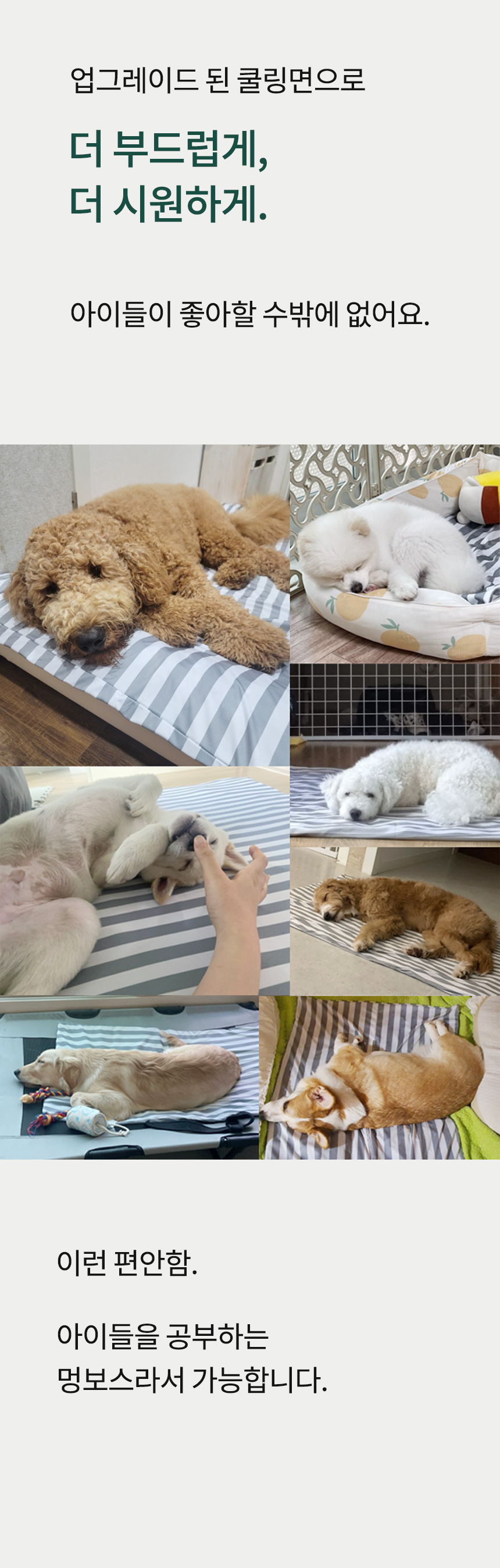 [NEW신상][무료배송] 멍보스 세탁가능 커버분리 무독성 쿨매트 31번째