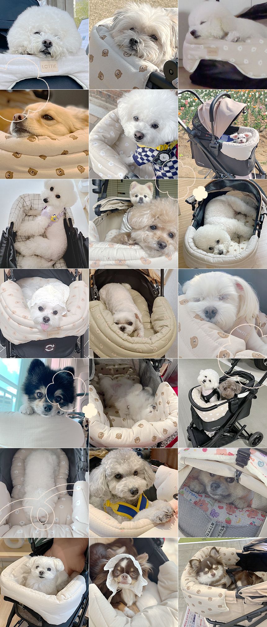 [무료배송] 로띠에 독 유모차 라이너 곰땡베이지 M-L 10번째