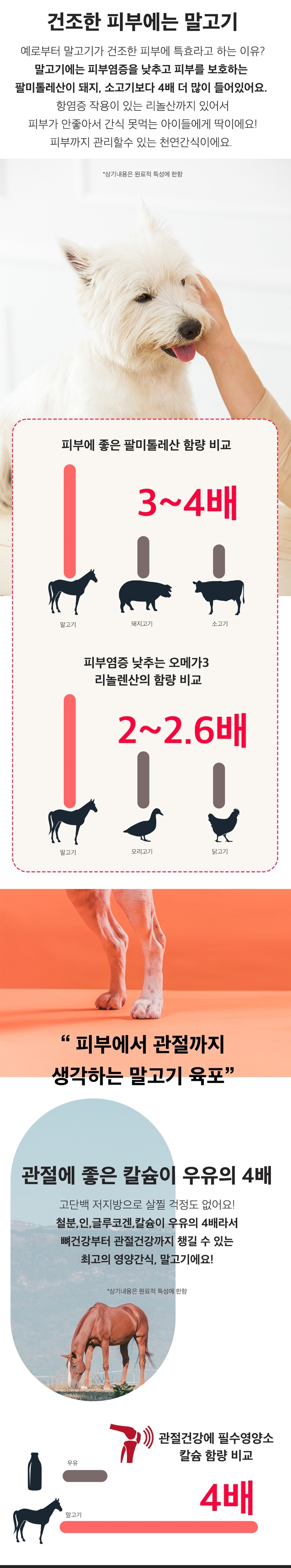 [무료배송] 오래오래프로젝트 독 깨끗한 육포 말고기 40g 2번째