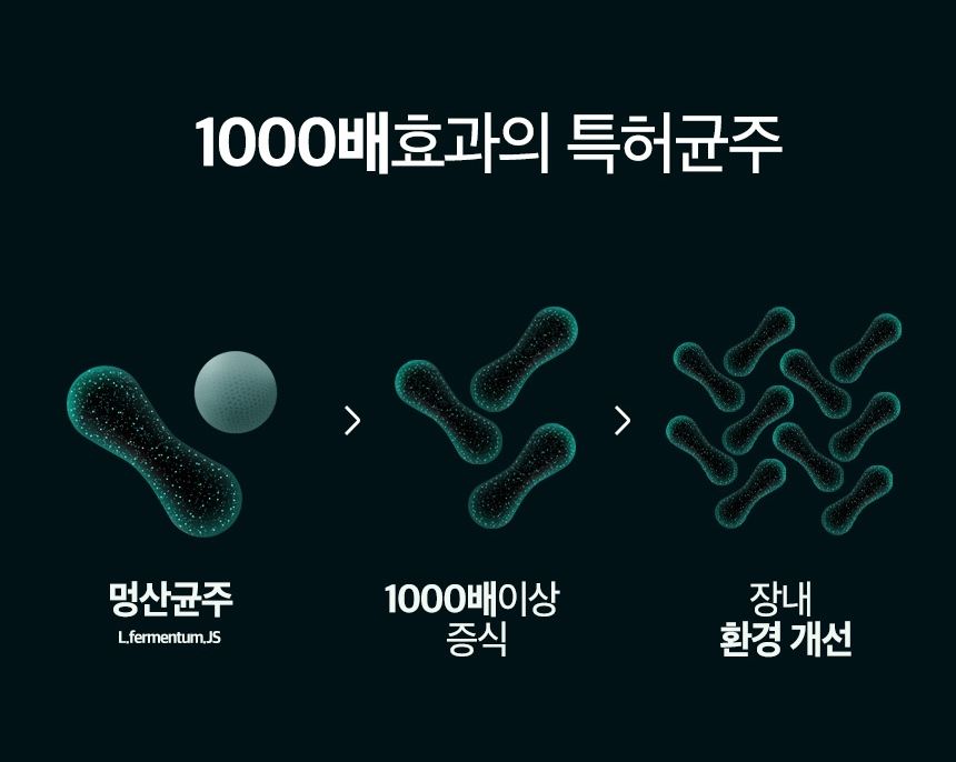 [무료배송] 바이오펫츠 멍산균 30포 12번째