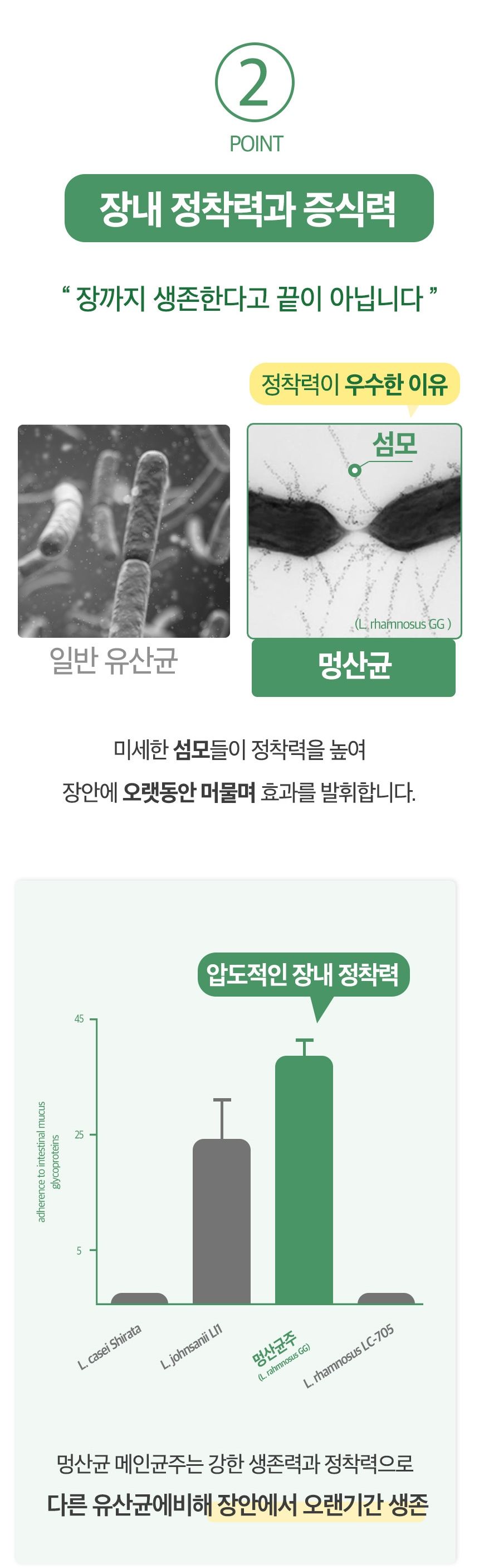 [무료배송] 바이오펫츠 멍산균 30포 9번째