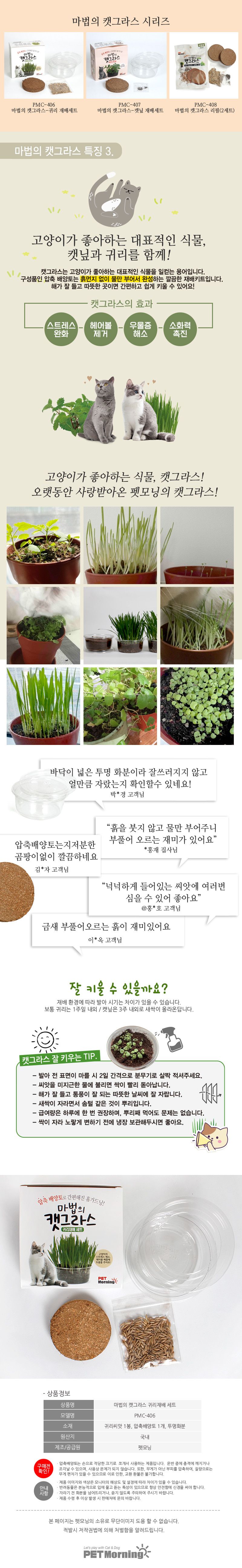 펫모닝 마법의 캣그라스 귀리 재배세트 4번째