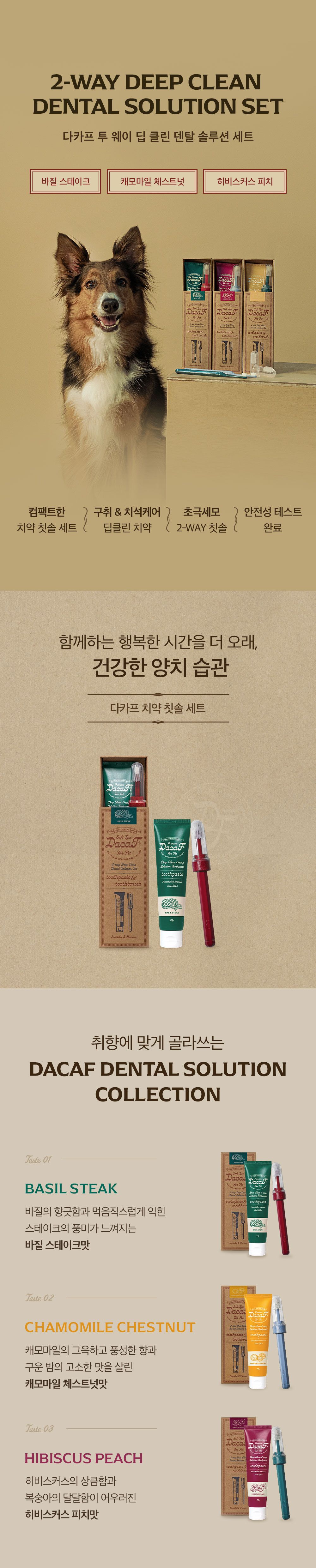 [유통기한임박, 25년6월19일] 다카프 딥 클린 투 웨이 솔루션 치약 캐모마일 체스트넛향 75g 10번째