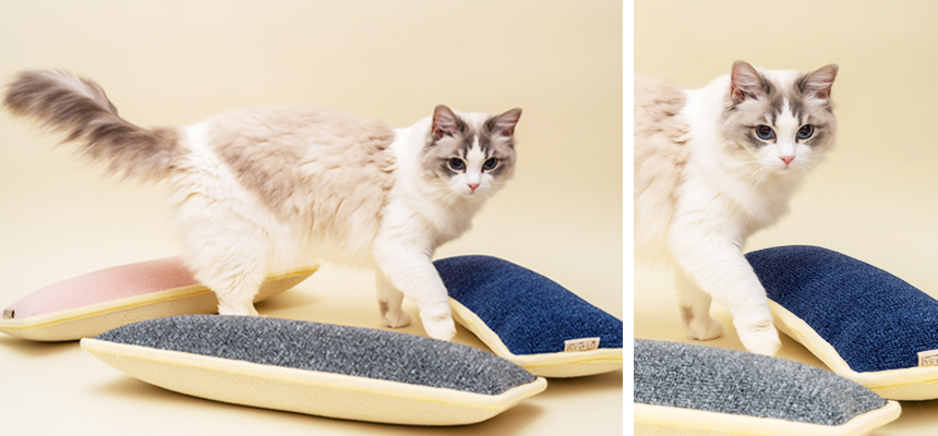 [NEW신상][무료배송] 따스넉 스크래쳐+쿠션 따롱스쿠래션 3종 5번째