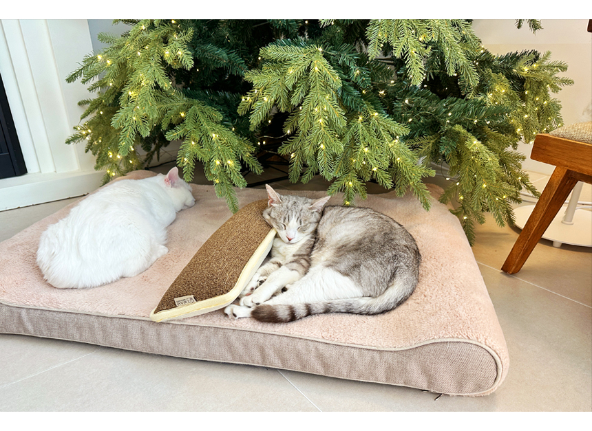 [NEW신상][무료배송] 따스넉 스크래쳐+쿠션 따롱스쿠래션 3종 9번째