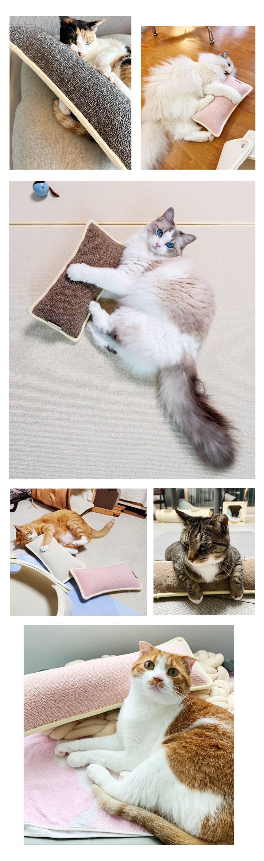 [NEW신상][무료배송] 따스넉 스크래쳐+쿠션 따롱스쿠래션 3종 8번째