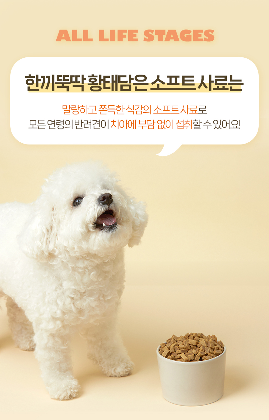 [무료배송] 펫토리아 한끼뚝딱 독 황태&양고기 1kg 11번째