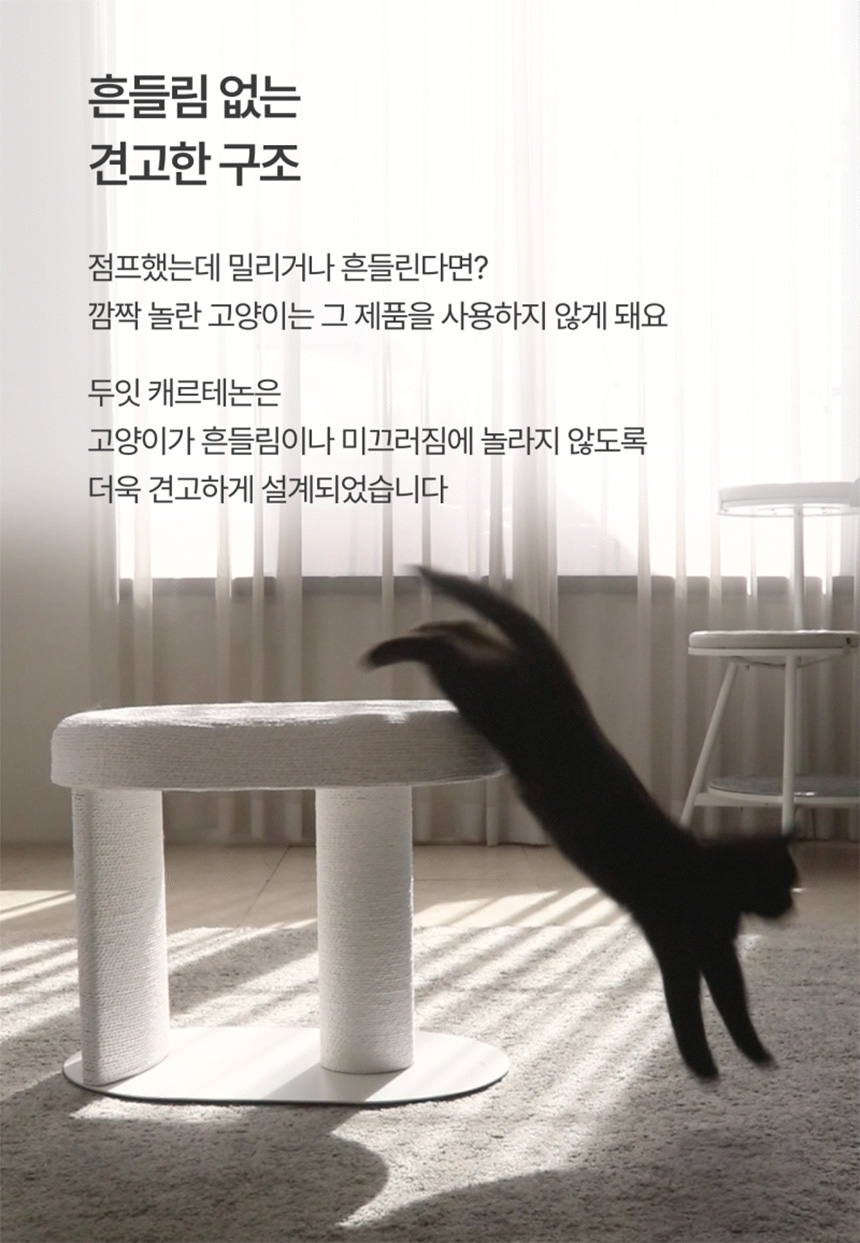 두잇 캐르테논 고양이 스크래쳐 12번째