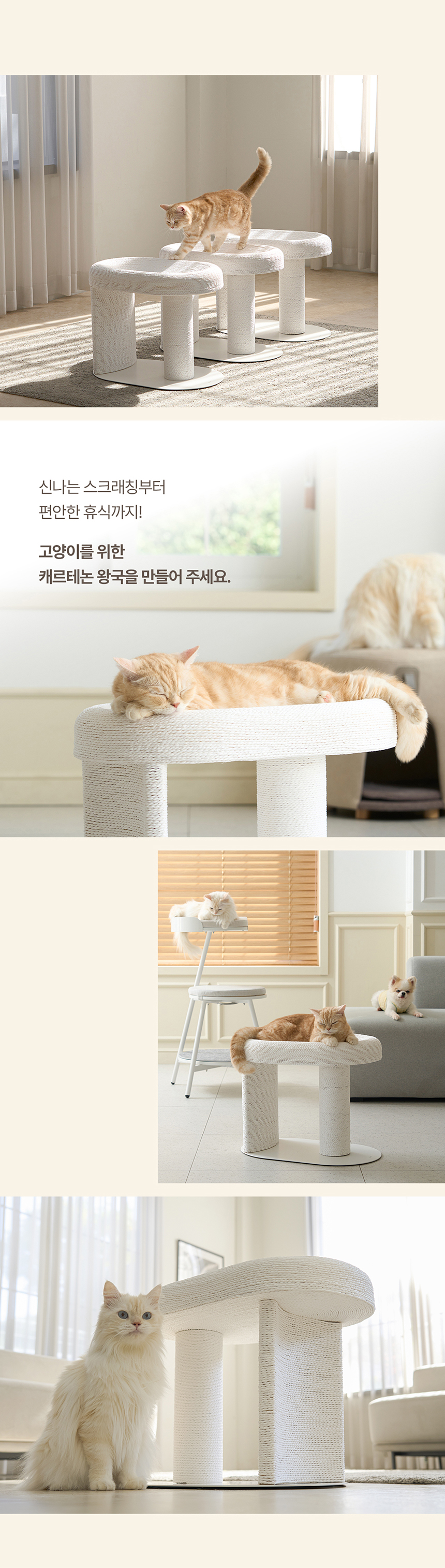 두잇 캐르테논 고양이 스크래쳐 23번째