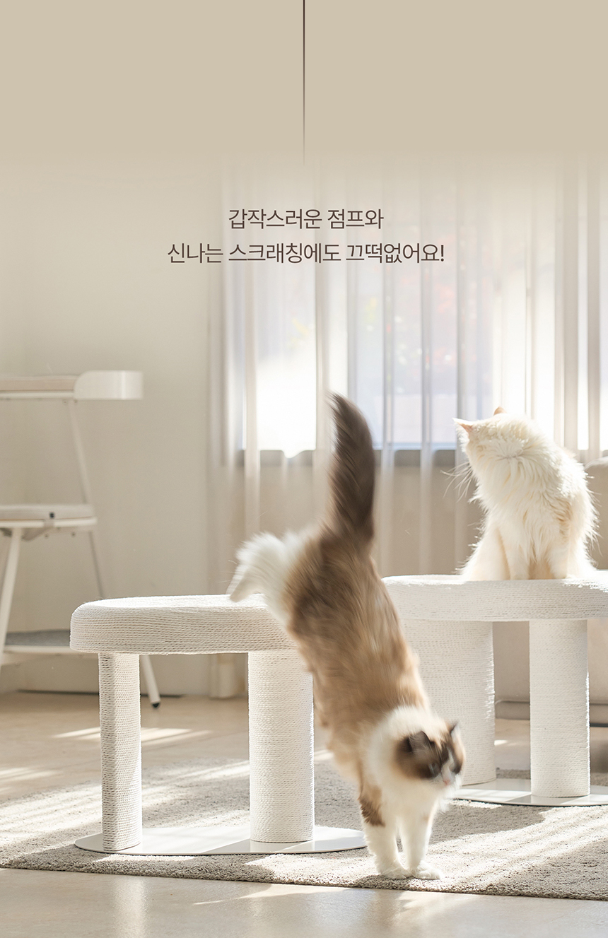 두잇 캐르테논 고양이 스크래쳐 15번째