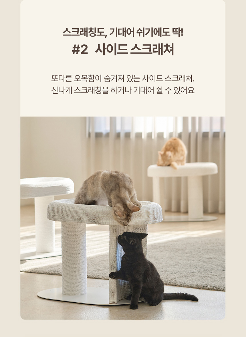 두잇 캐르테논 고양이 스크래쳐 6번째