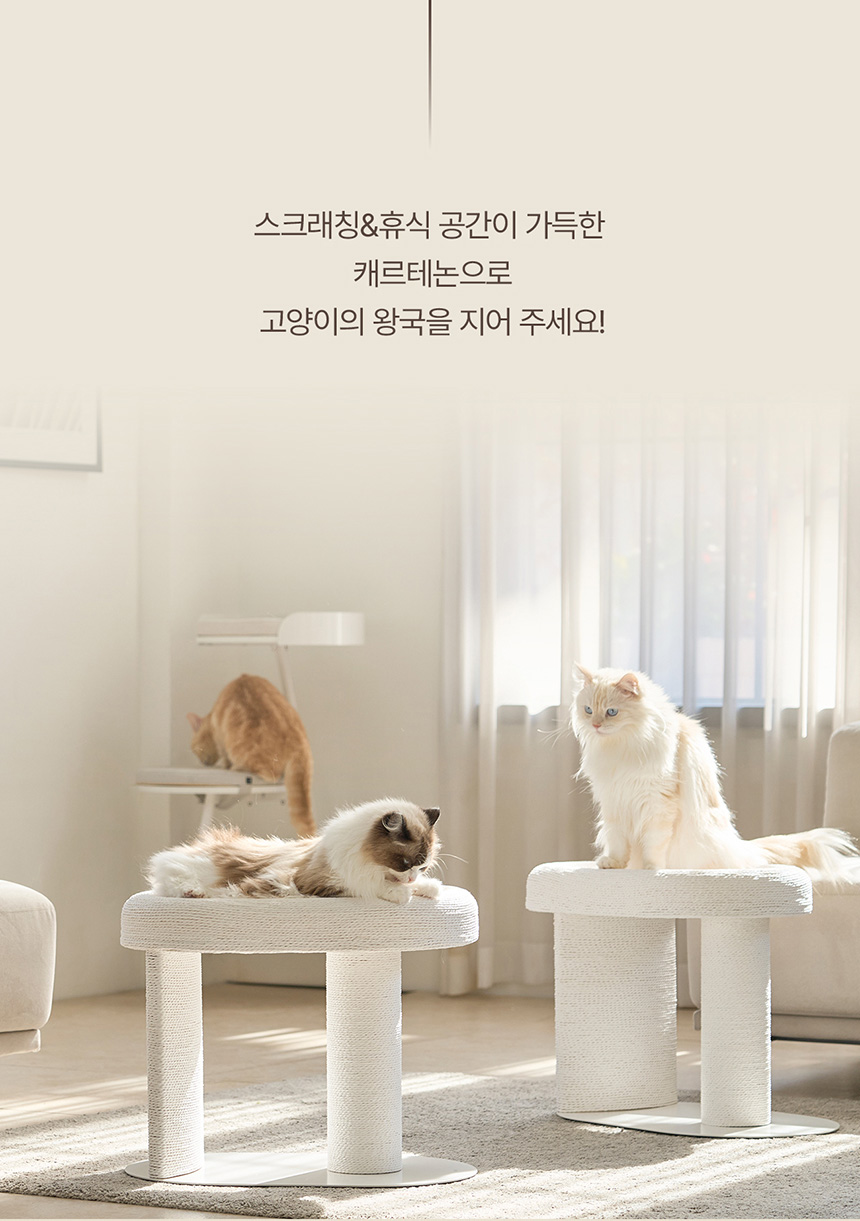 두잇 캐르테논 고양이 스크래쳐 8번째