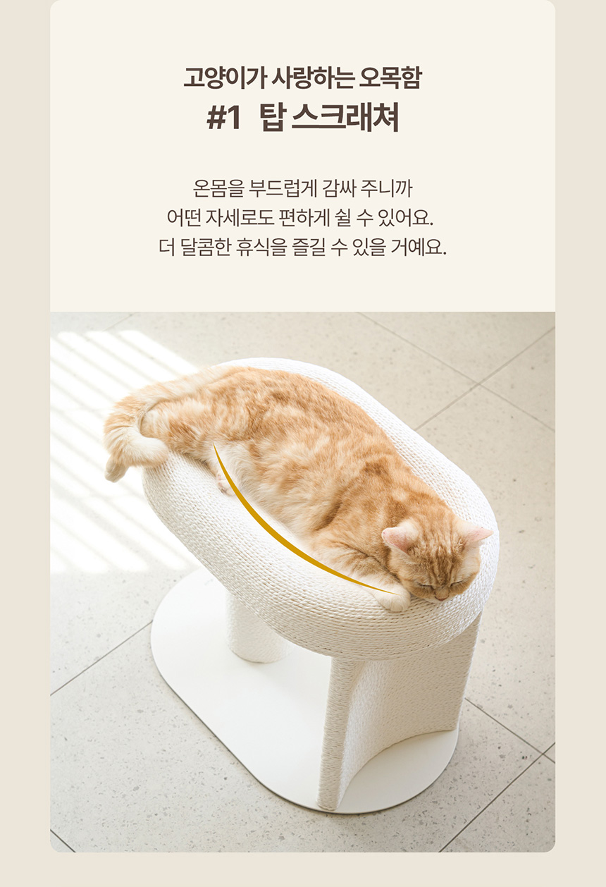 두잇 캐르테논 고양이 스크래쳐 5번째