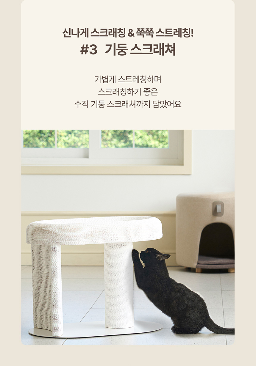 두잇 캐르테논 고양이 스크래쳐 7번째