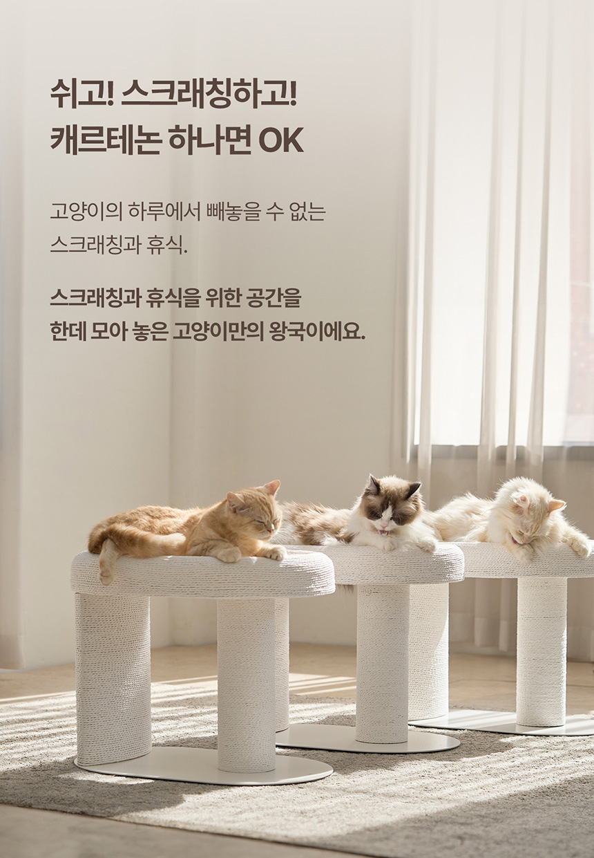 두잇 캐르테논 고양이 스크래쳐 3번째