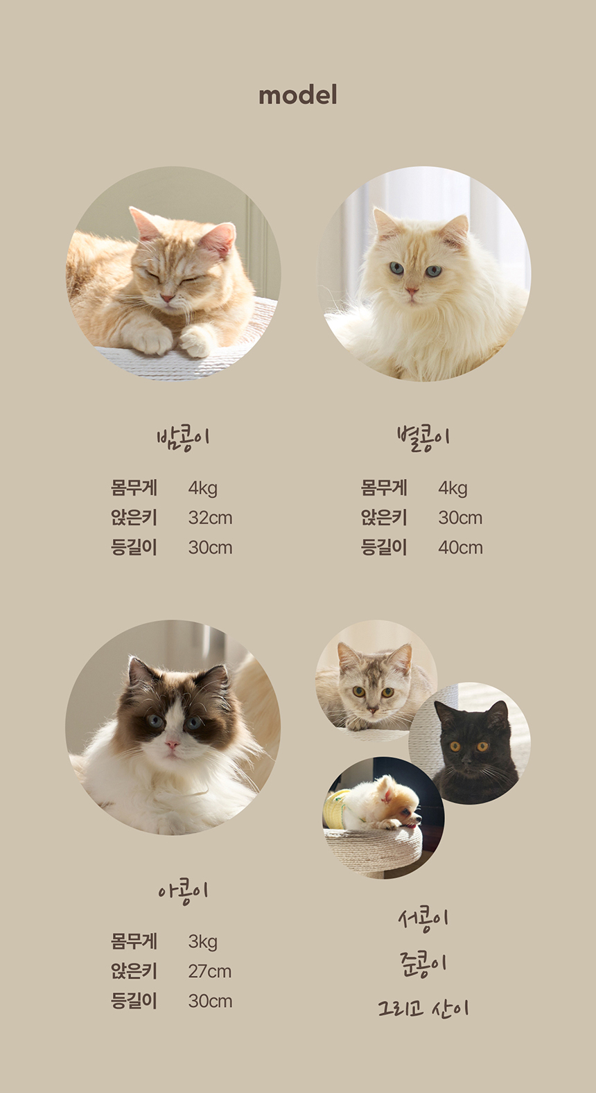 두잇 캐르테논 고양이 스크래쳐 24번째
