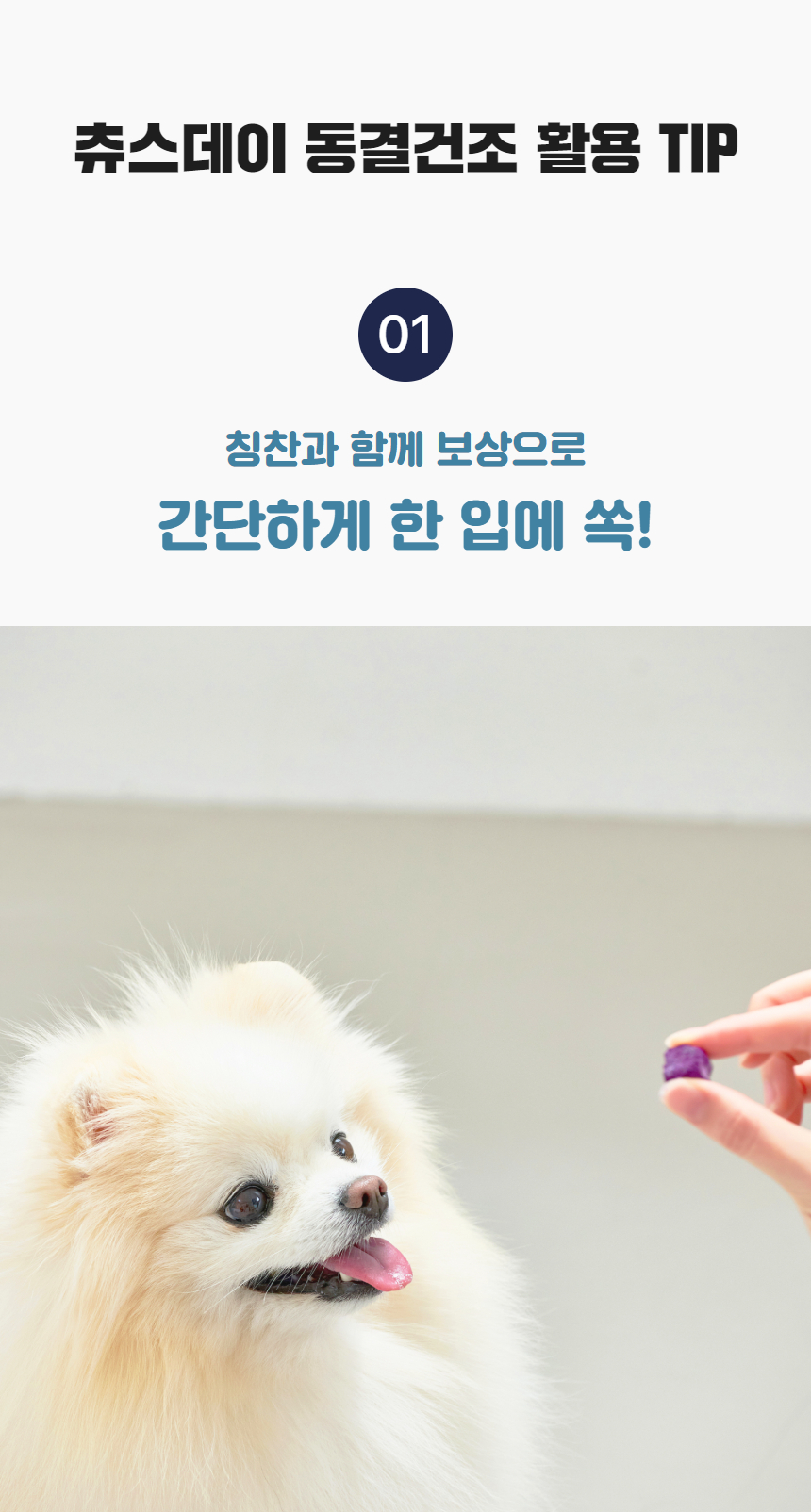 [럭키세일][무료배송] 츄스데이 동결건조 트릿츄 5종 20번째