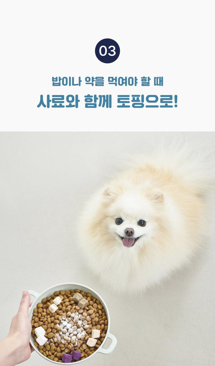 [럭키세일][무료배송] 츄스데이 동결건조 트릿츄 5종 22번째