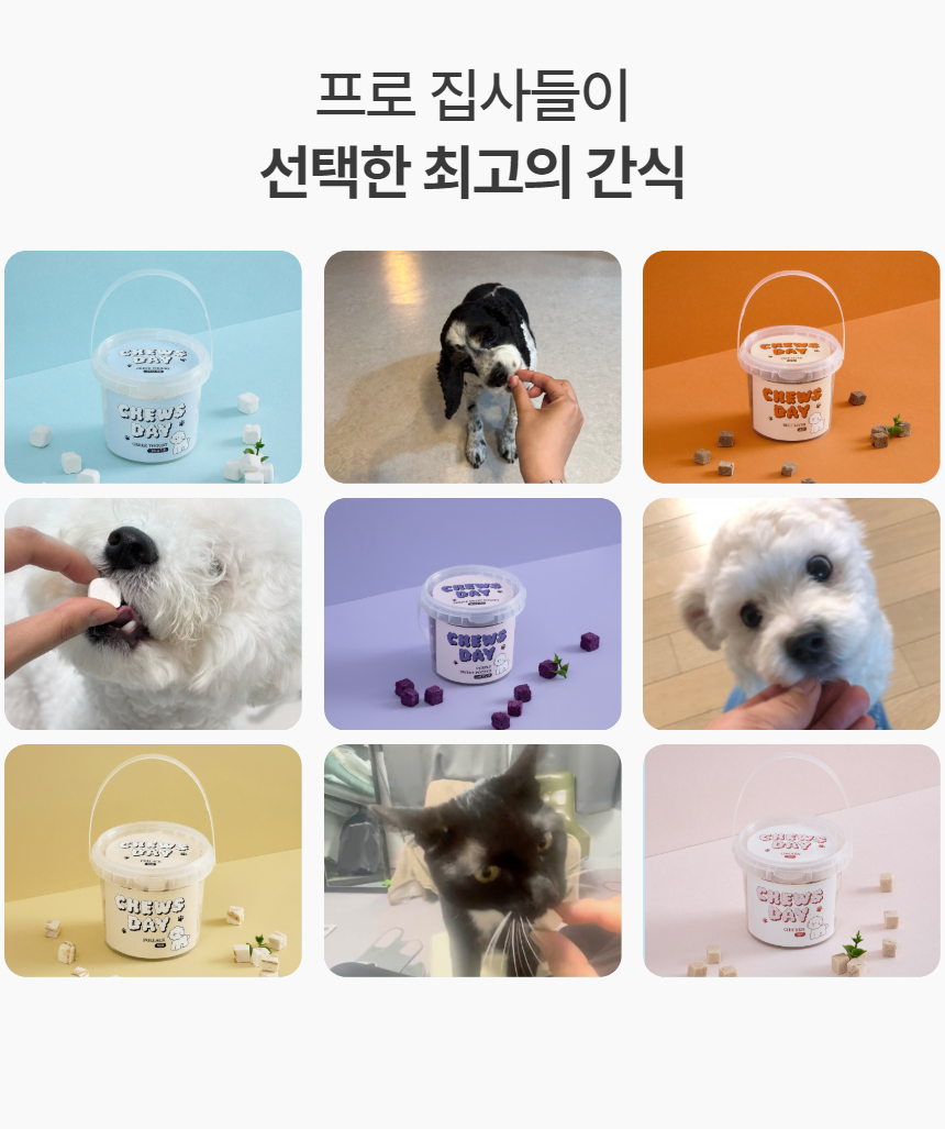 [럭키세일][무료배송] 츄스데이 동결건조 트릿츄 5종 6번째