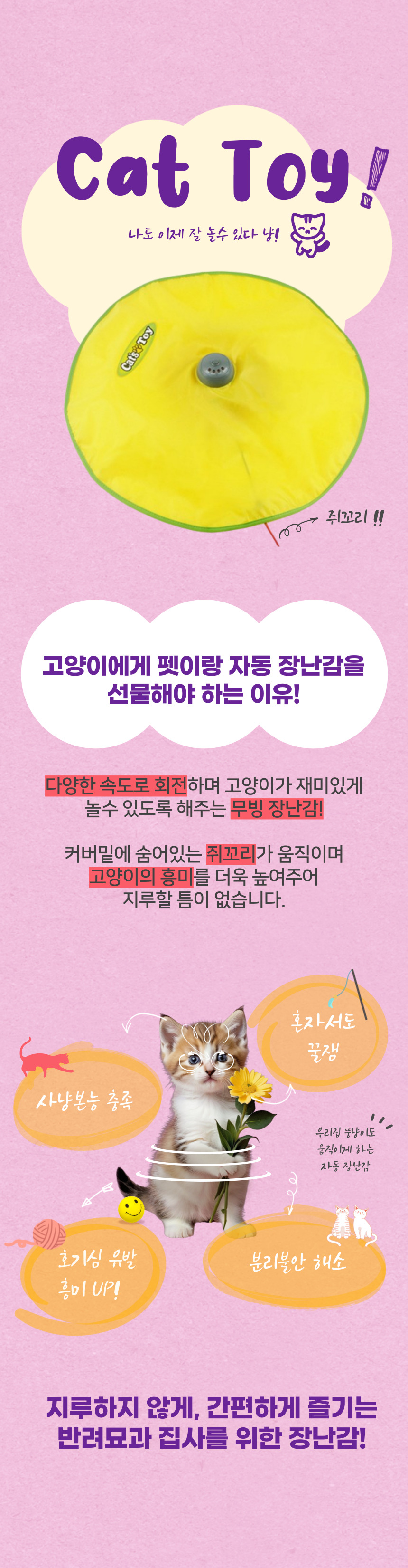 [NEW신상][무료배송] 펫이랑 빙글빙글 고양이 장난감 꼬리잡기 2번째