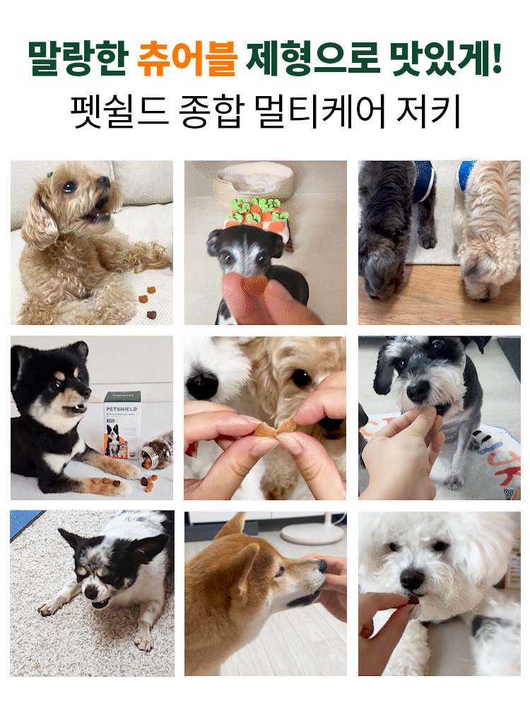 [무료배송] 펫쉴드 독 종합멀티케어 저키 (장+피모+관절) 300g 4번째