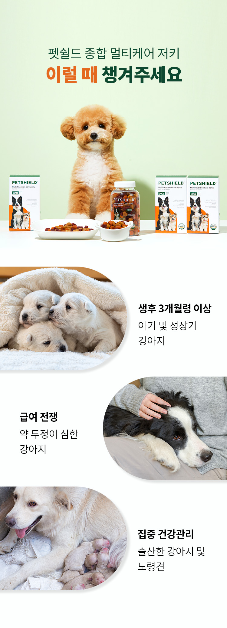 [무료배송] 펫쉴드 독 종합멀티케어 저키 (장+피모+관절) 300g 13번째