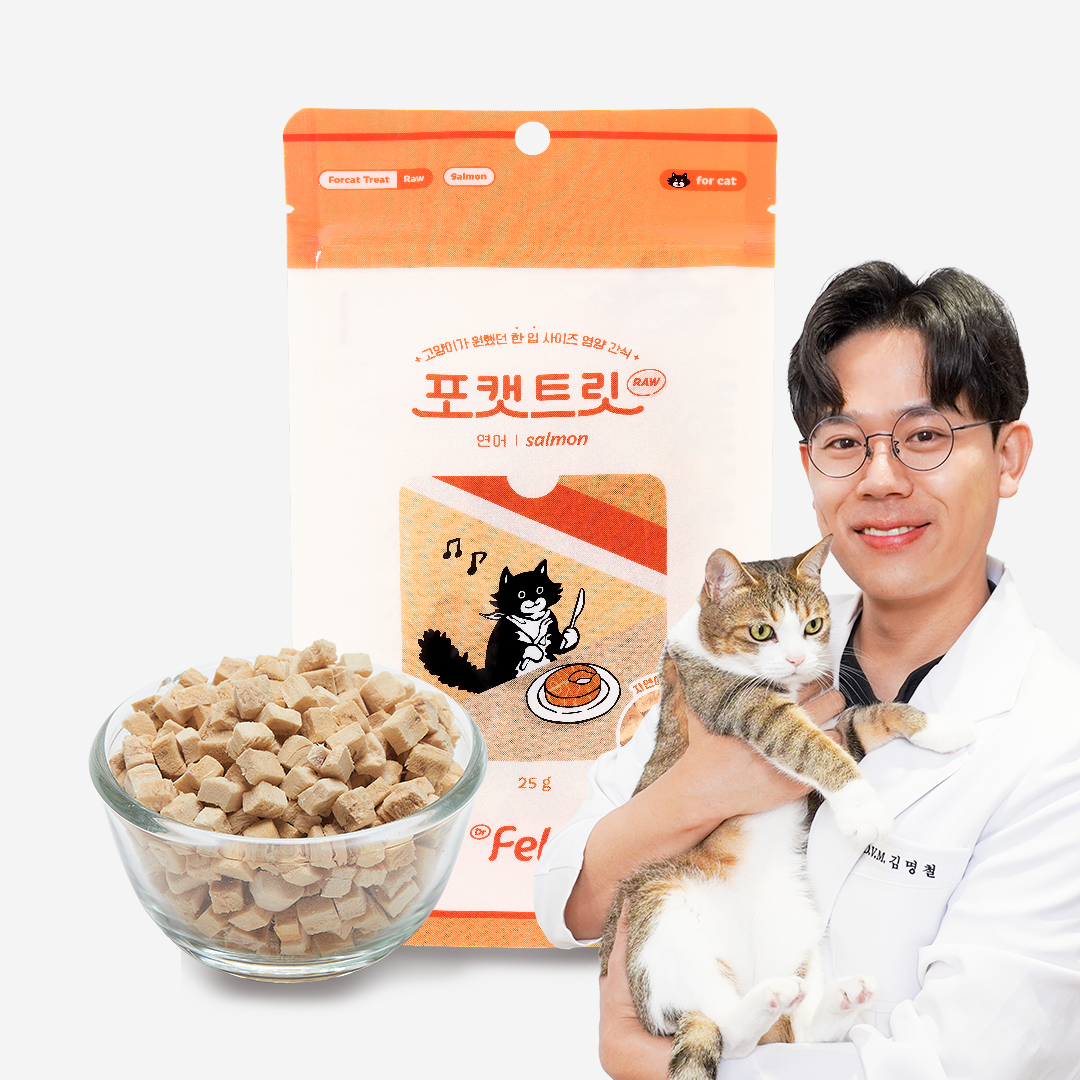 [NEW신상]닥터펠리스 포캣트릿 Raw 연어 동결건조 간식 25g 0번