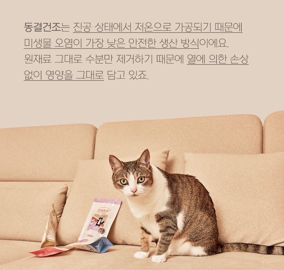 [NEW신상]닥터펠리스 포캣트릿 Raw 연어 동결건조 간식 25g 9번째