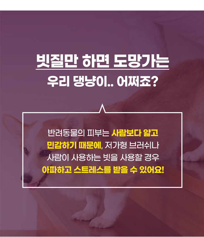 [무료배송] 냥글댕글 5중돌기 실리콘 브러쉬 옐로우/블랙 20번째