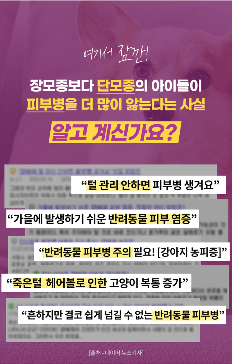 [무료배송] 냥글댕글 5중돌기 실리콘 브러쉬 옐로우/블랙 12번째