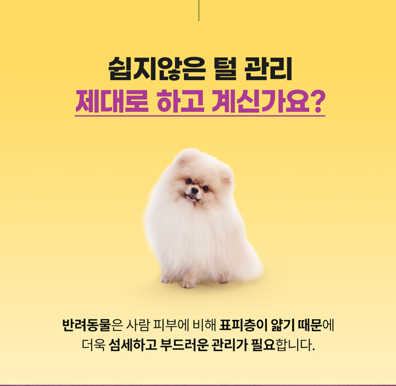 [무료배송] 냥글댕글 5중돌기 실리콘 브러쉬 옐로우/블랙 9번째
