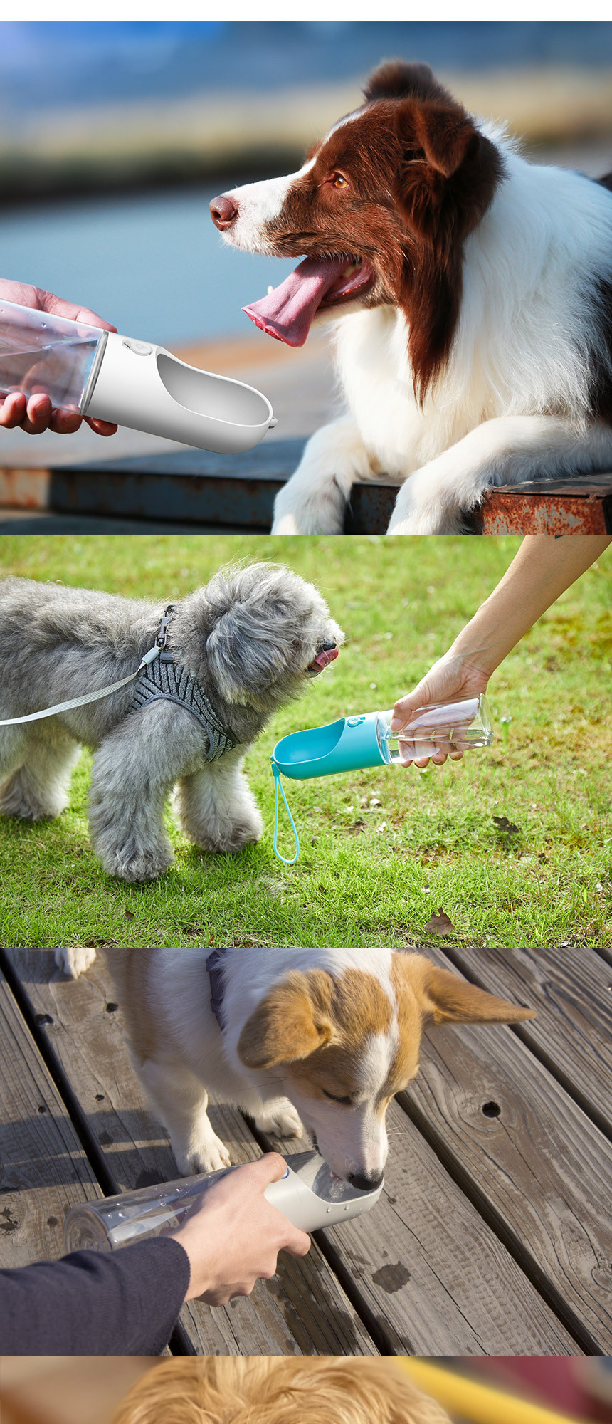 [무료배송] 펫킷 에버스윗 트레벌 이동식물병 11번째