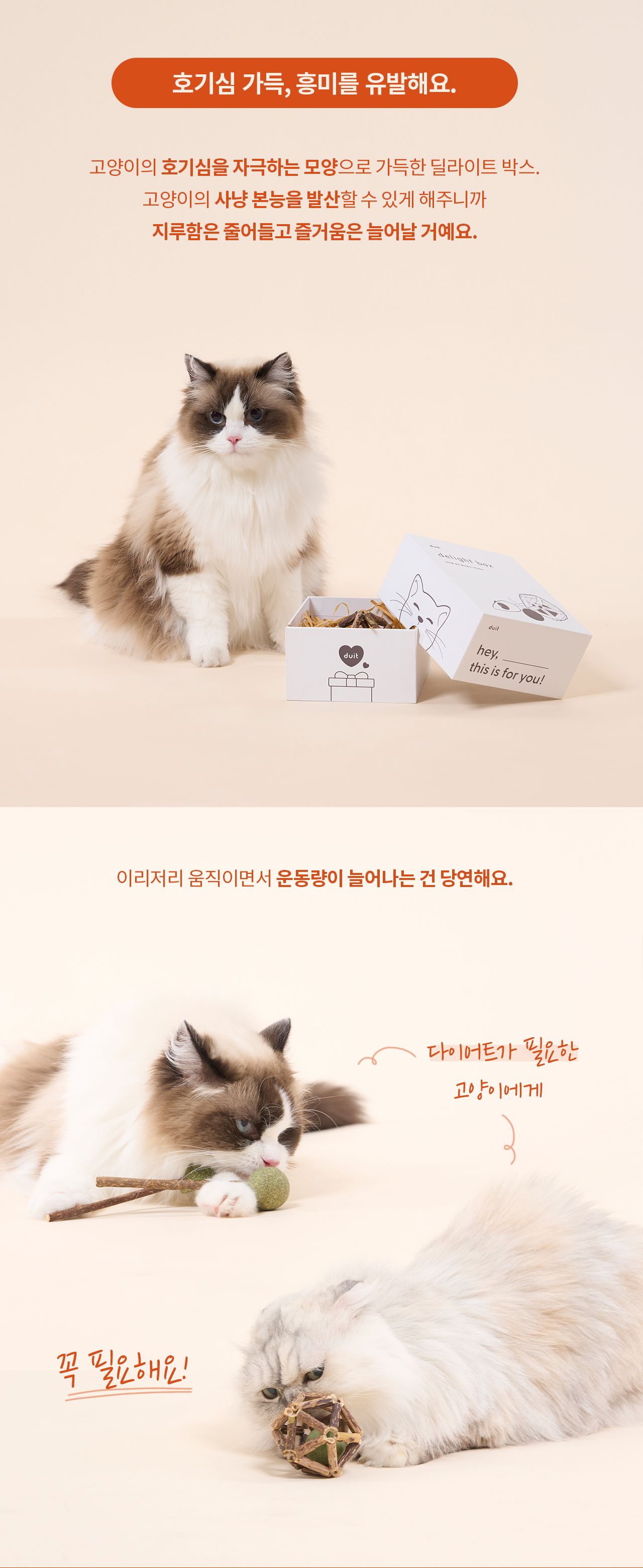 [특가할인][무료배송] 두잇 마따따비볼 세트 딜라이트 박스 7번째