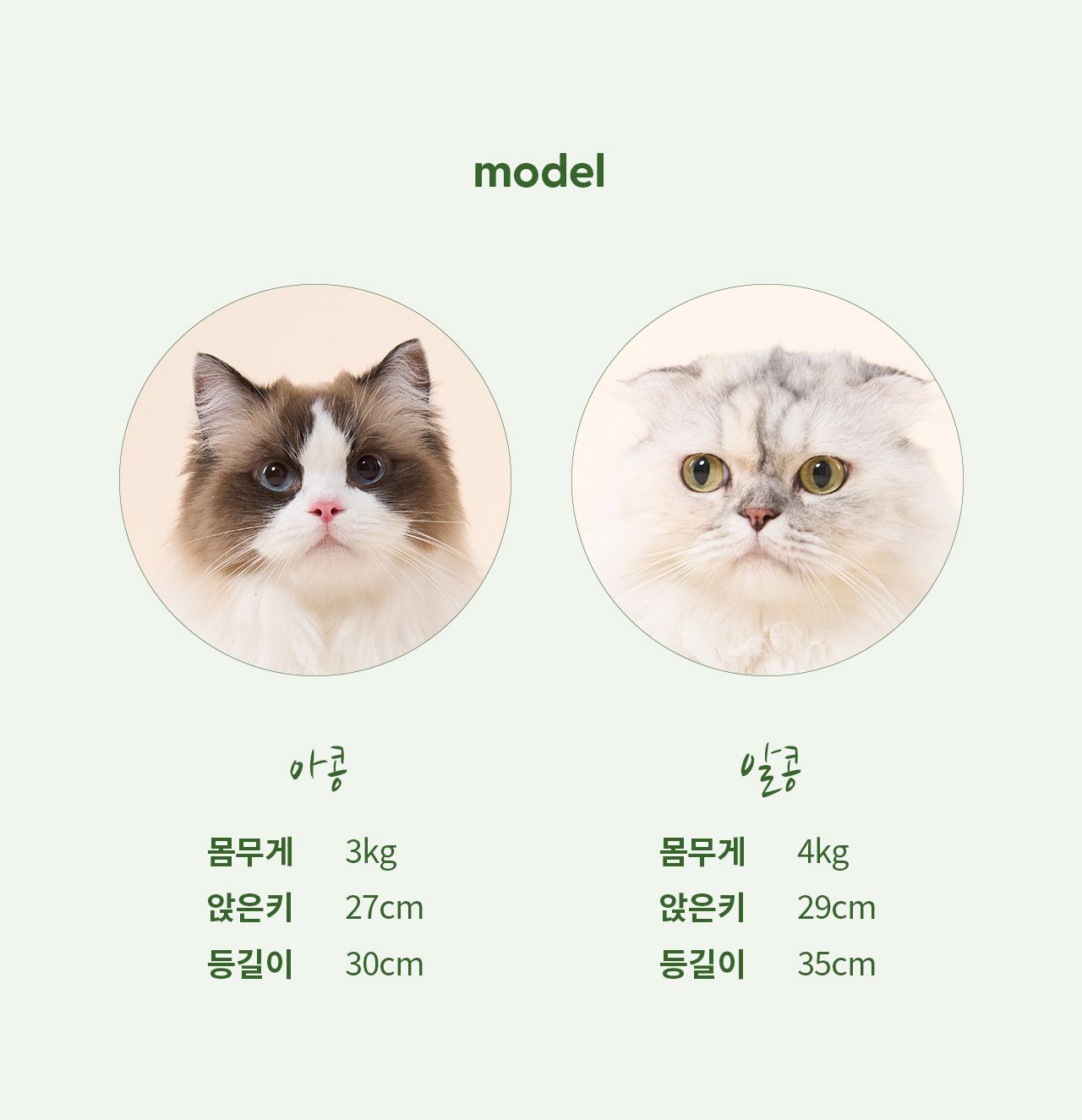 [특가할인][무료배송] 두잇 마따따비볼 세트 딜라이트 박스 14번째