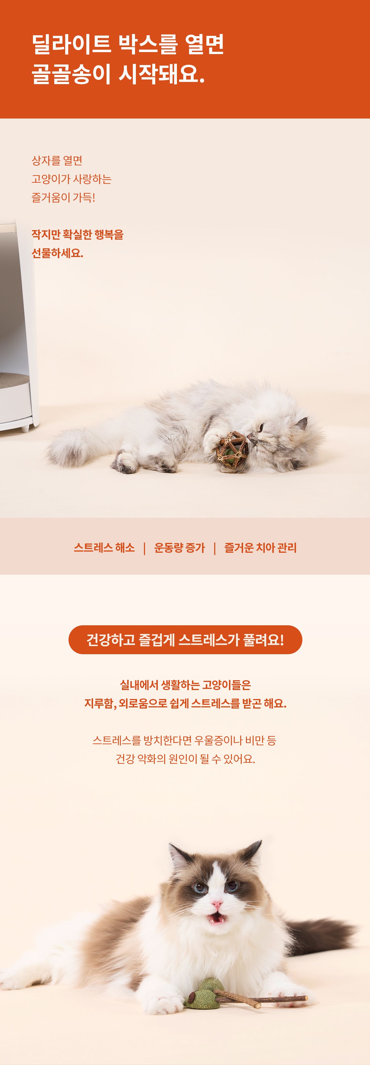 [특가할인][무료배송] 두잇 마따따비볼 세트 딜라이트 박스 4번째