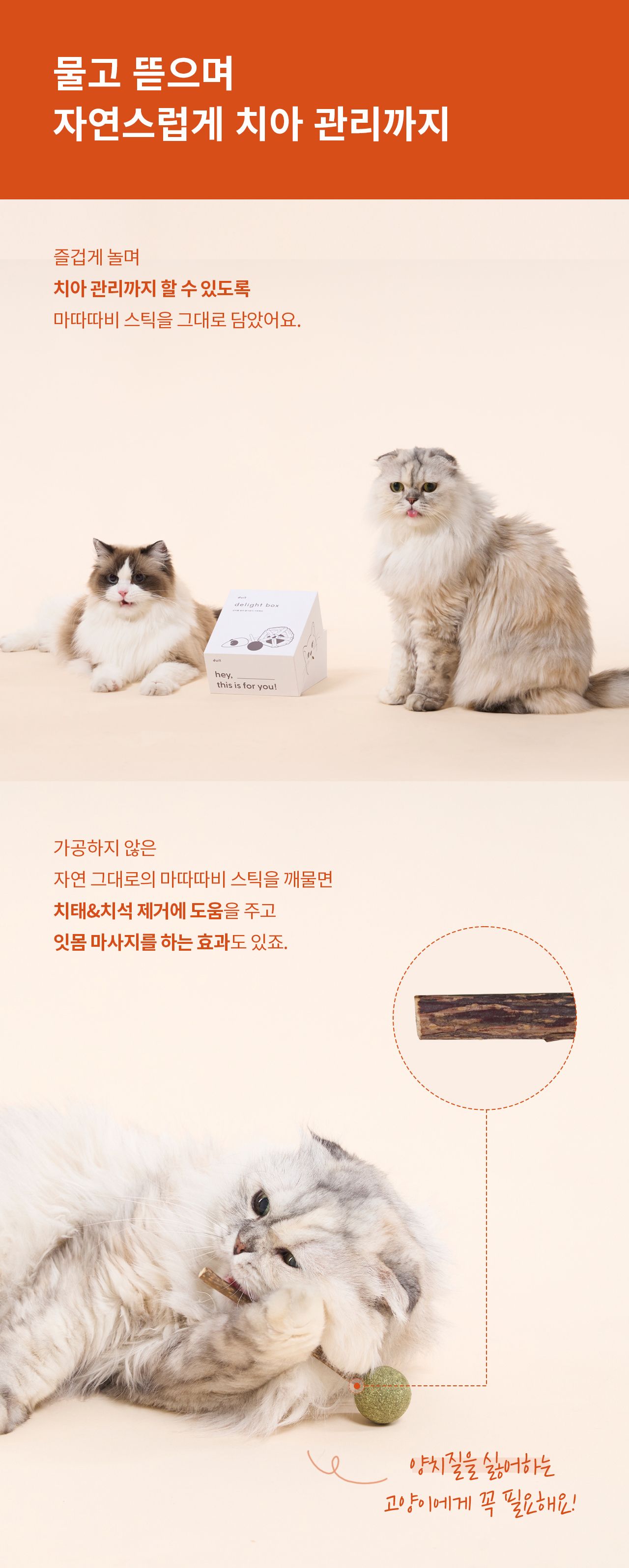 [특가할인][무료배송] 두잇 마따따비볼 세트 딜라이트 박스 8번째